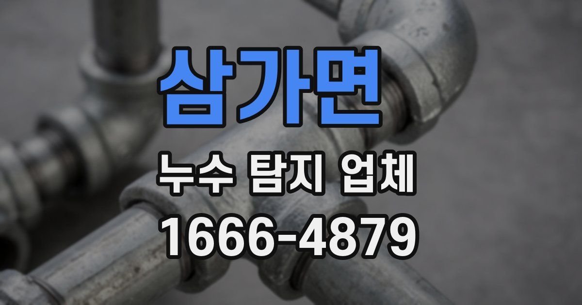 삼가면 누수 탐지 업체