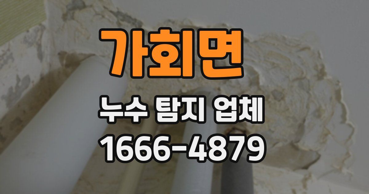가회면 누수 탐지 업체
