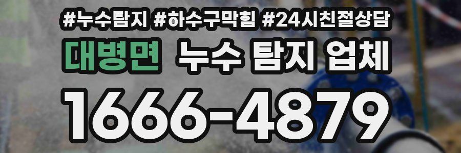 대병면 누수 탐지 업체