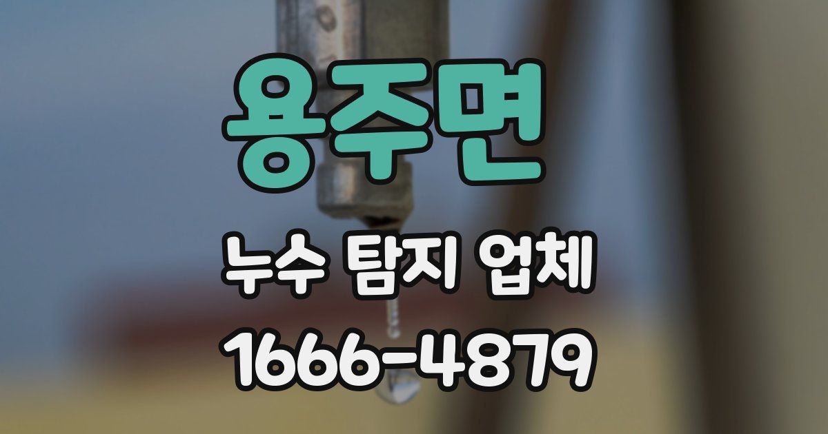 용주면 누수 탐지 업체