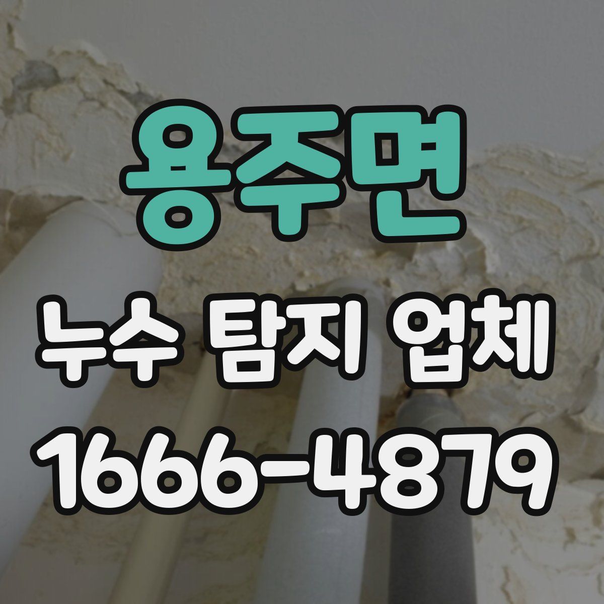 용주면 누수 탐지 업체