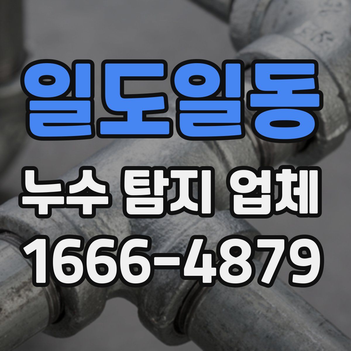 일도일동 누수 탐지 업체