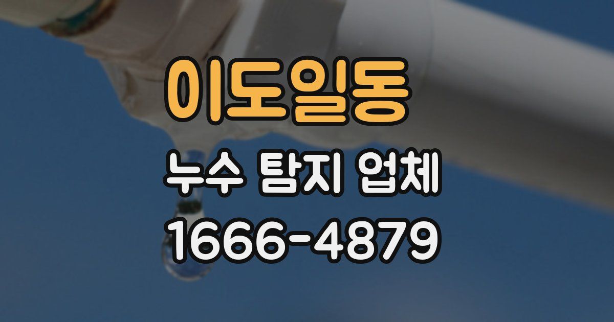 이도일동 누수 탐지 업체