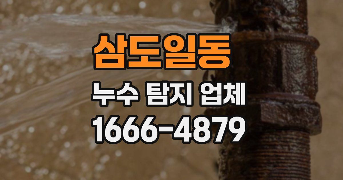 삼도일동 누수 탐지 업체