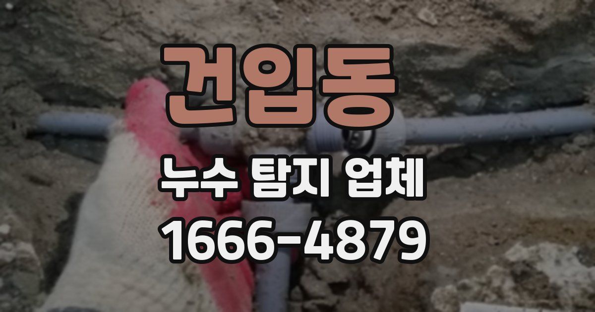건입동 누수 탐지 업체