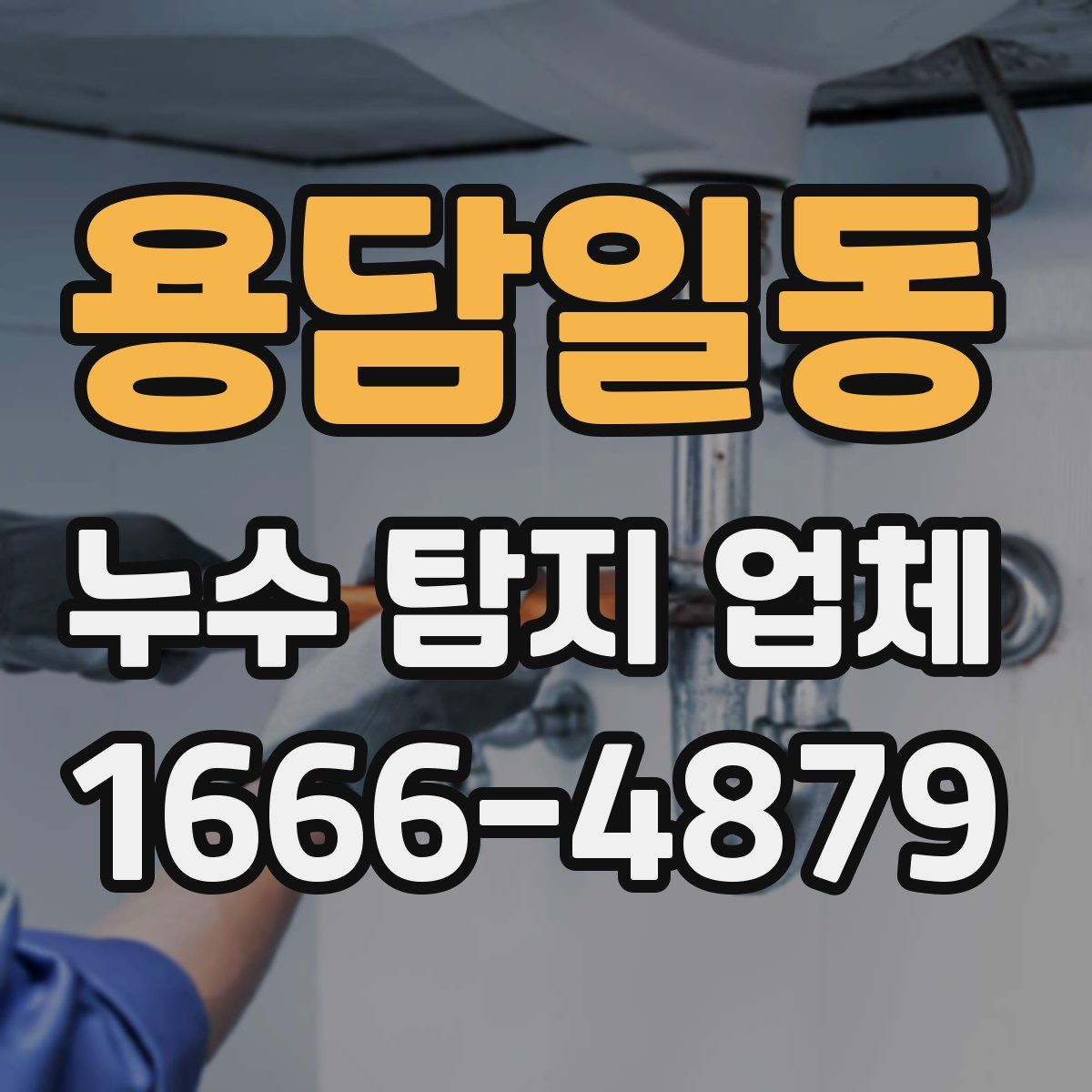 용담일동 누수 탐지 업체