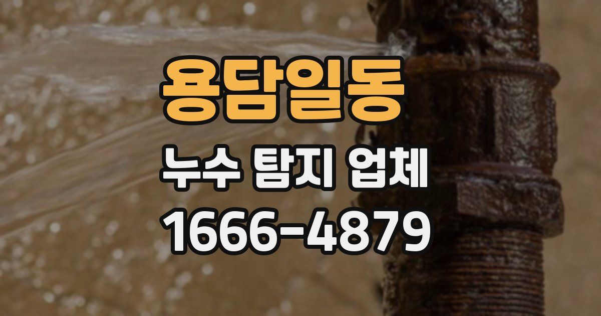 용담일동 누수 탐지 업체