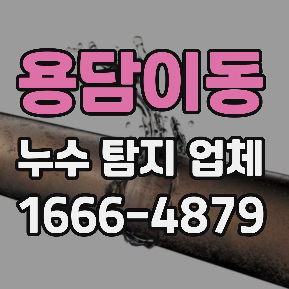 용담이동 누수 탐지 업체