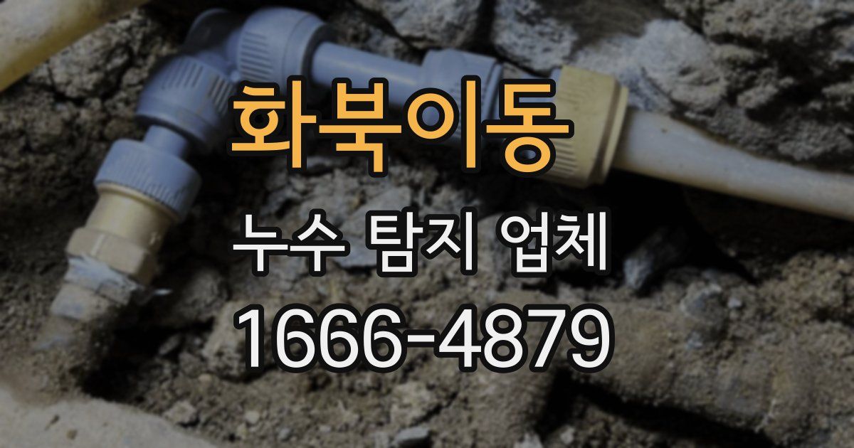 화북이동 누수 탐지 업체