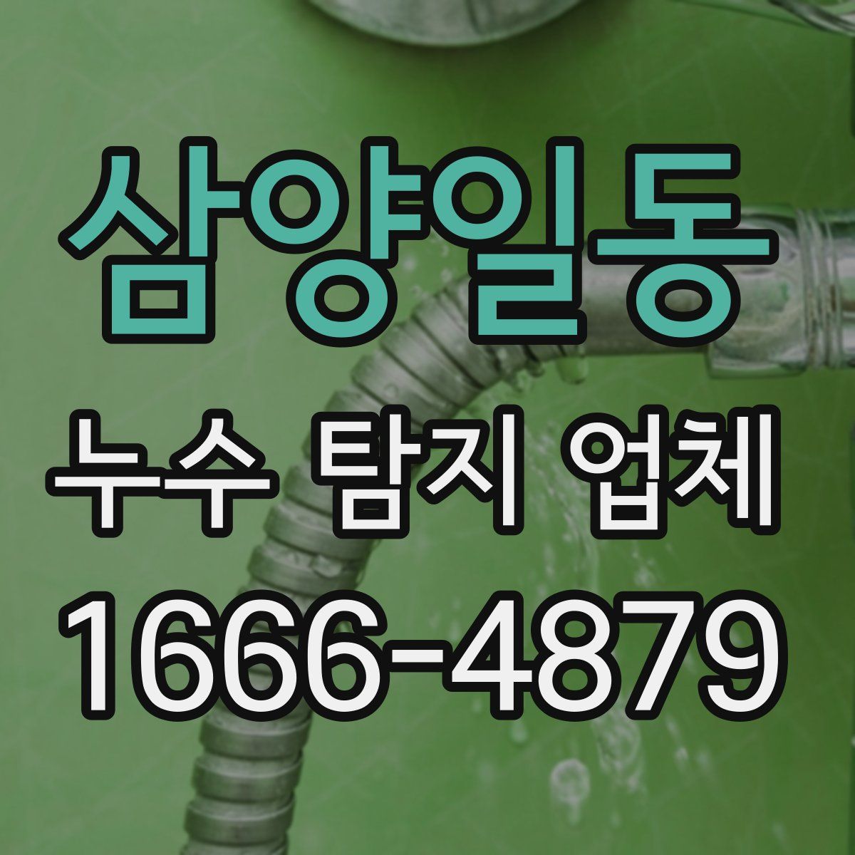 삼양일동 누수 탐지 업체