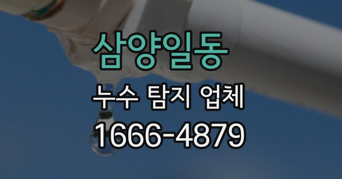 삼양일동 누수 탐지 업체