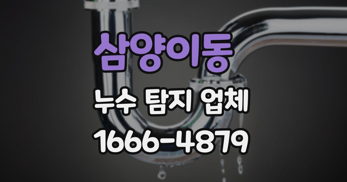 삼양이동 누수 탐지 업체