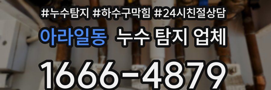 아라일동 누수 탐지 업체