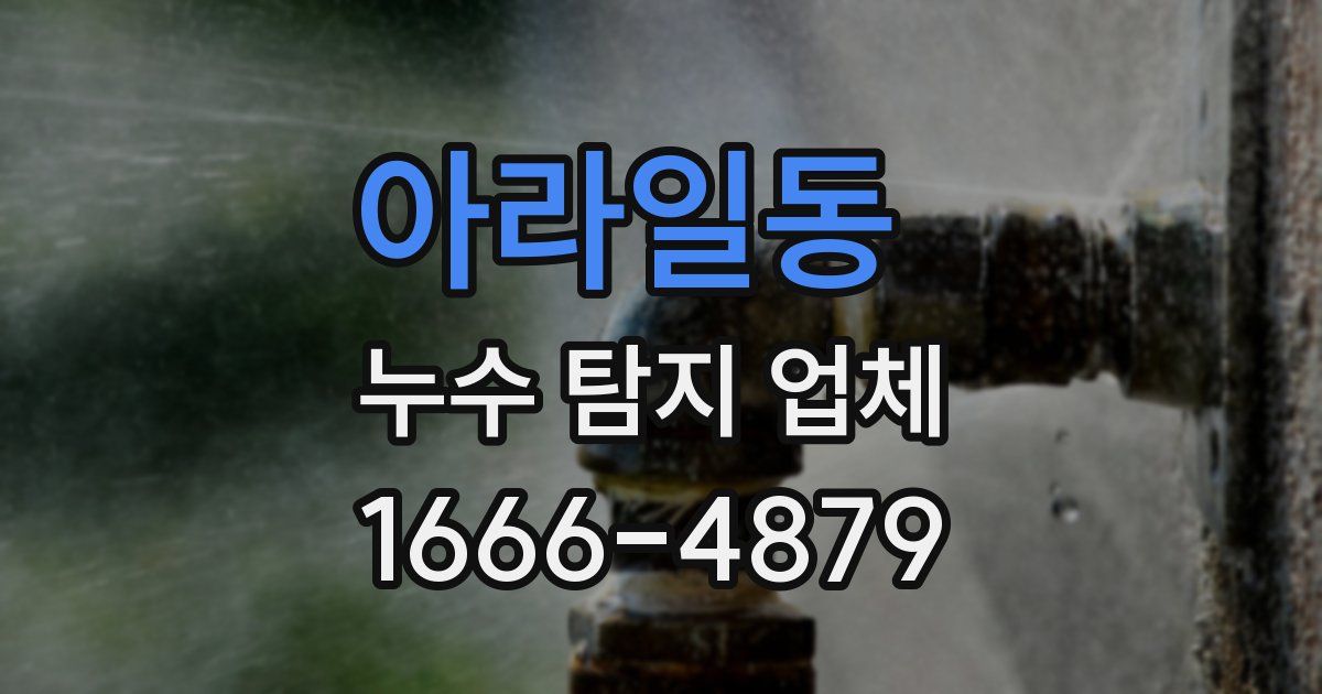 아라일동 누수 탐지 업체
