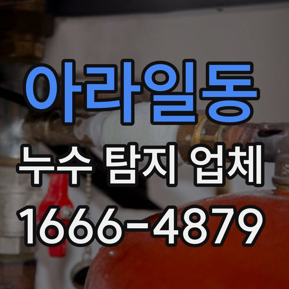 아라일동 누수 탐지 업체