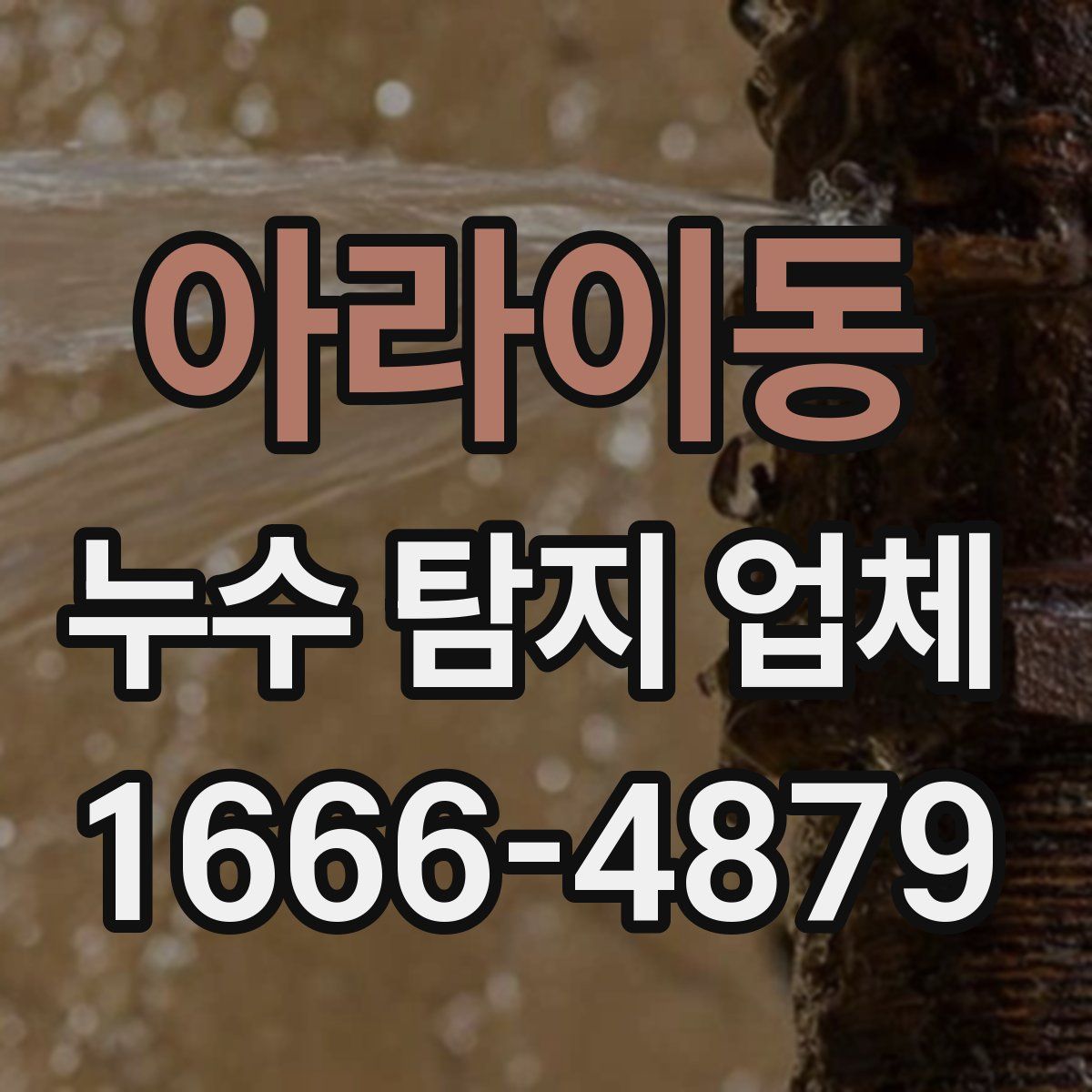 아라이동 누수 탐지 업체