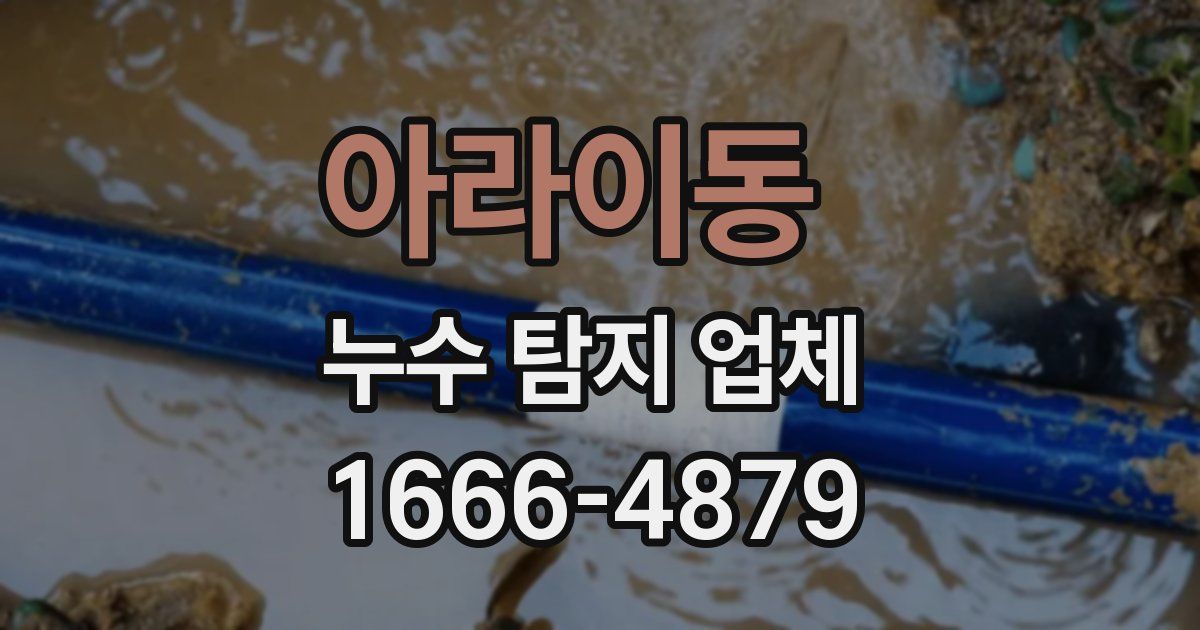아라이동 누수 탐지 업체