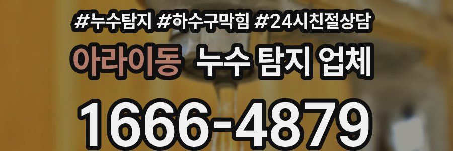 아라이동 누수 탐지 업체