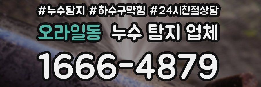 오라일동 누수 탐지 업체