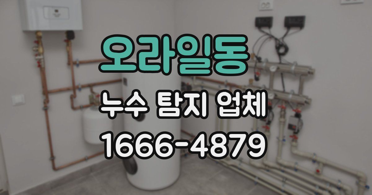 오라일동 누수 탐지 업체