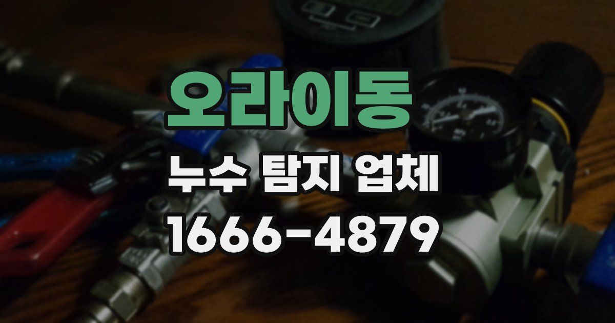 오라이동 누수 탐지 업체