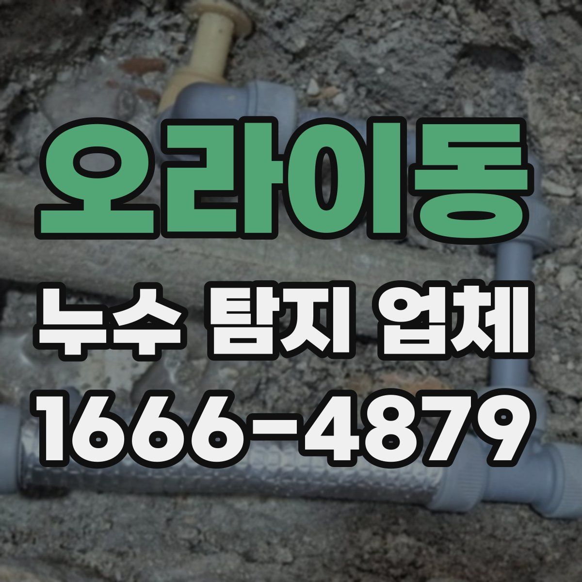 오라이동 누수 탐지 업체