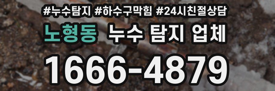 노형동 누수 탐지 업체