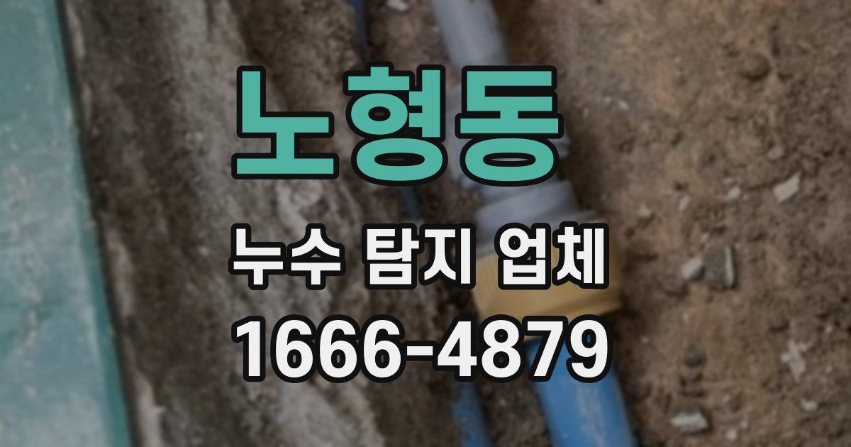 노형동 누수 탐지 업체
