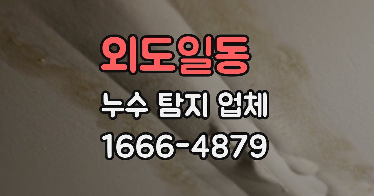 외도일동 누수 탐지 업체