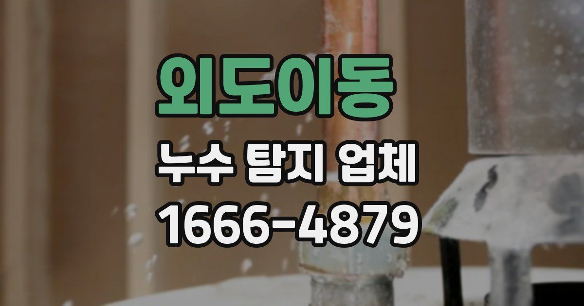 외도이동 누수 탐지 업체