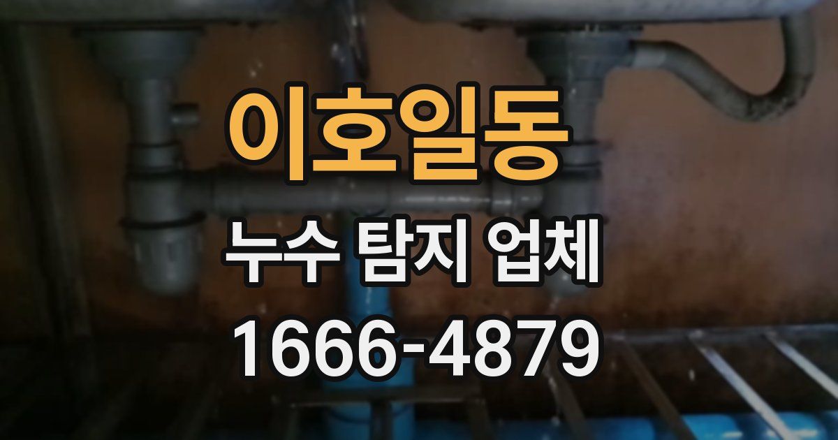 이호일동 누수 탐지 업체