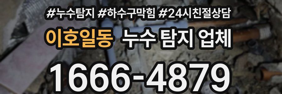 이호일동 누수 탐지 업체