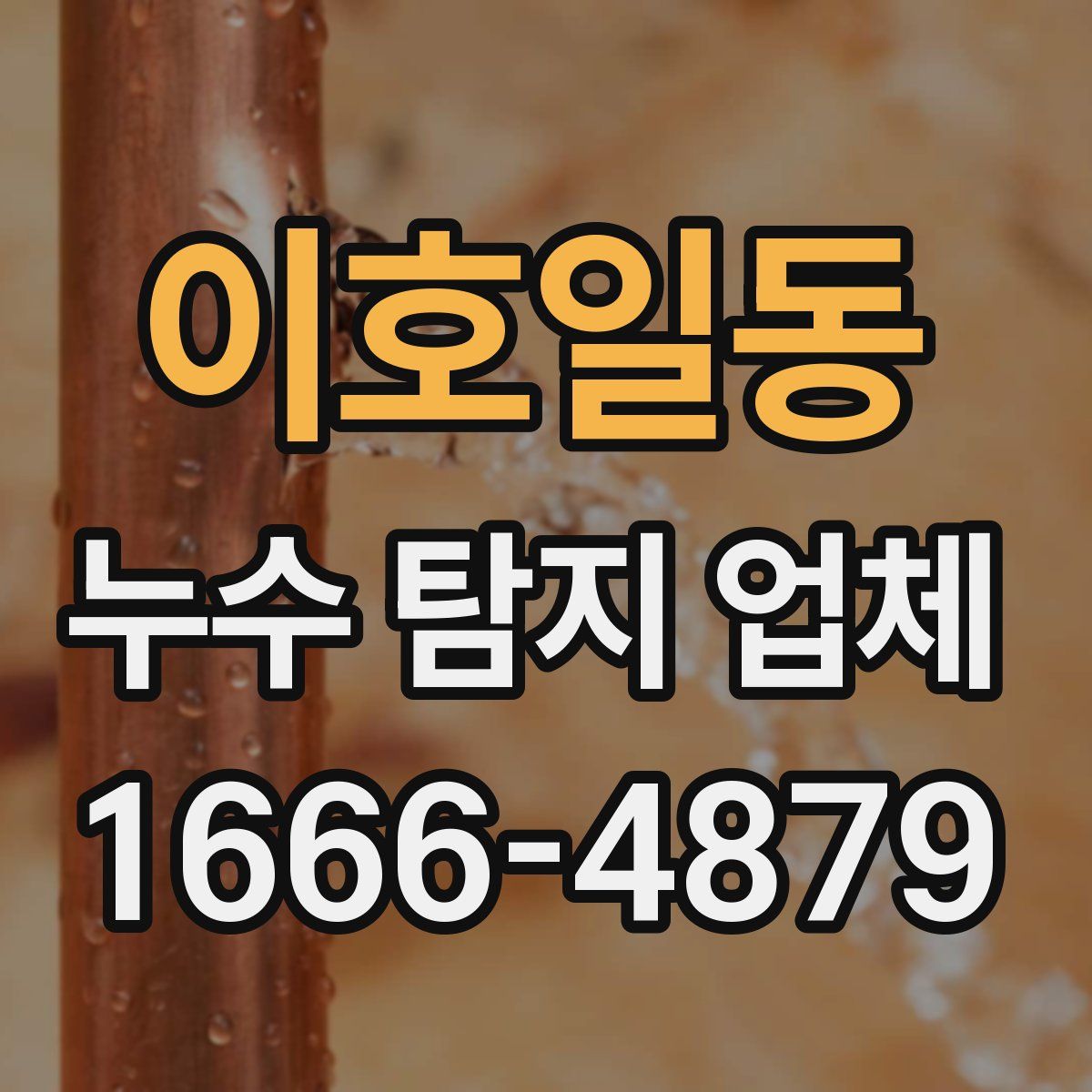이호일동 누수 탐지 업체