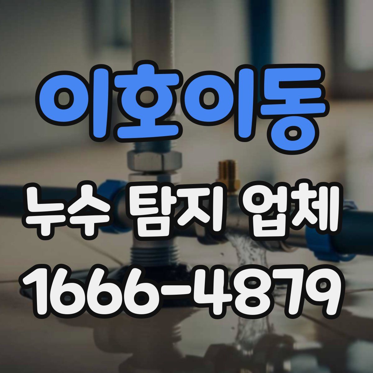 이호이동 누수 탐지 업체