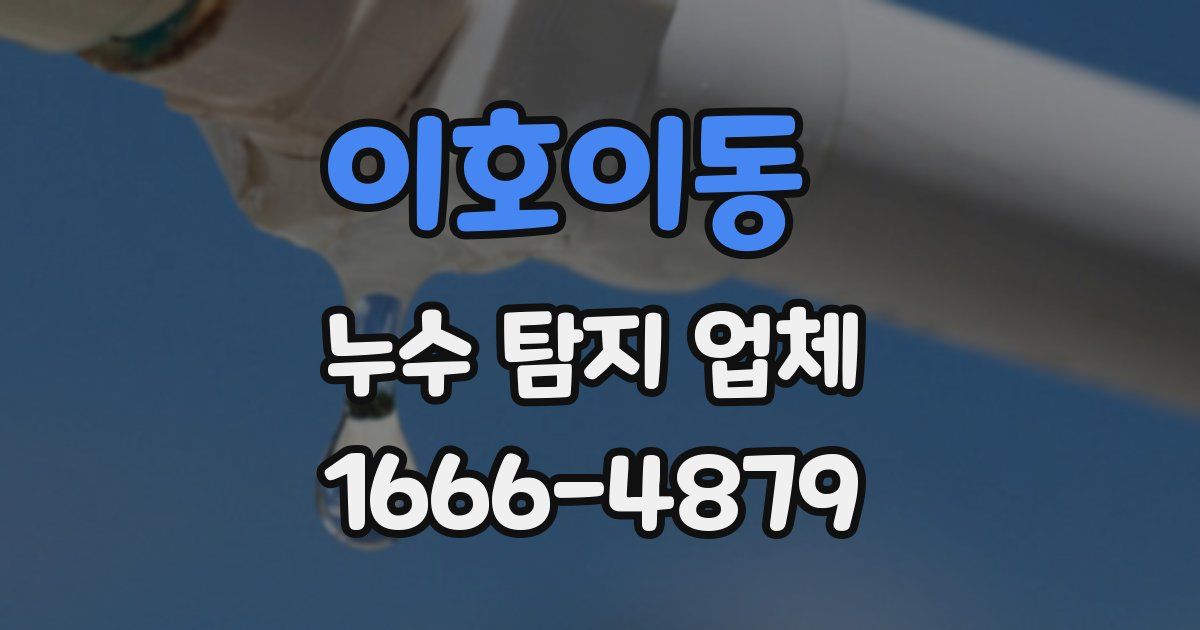 이호이동 누수 탐지 업체