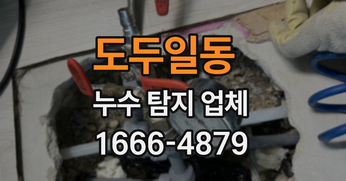 도두일동 누수 탐지 업체
