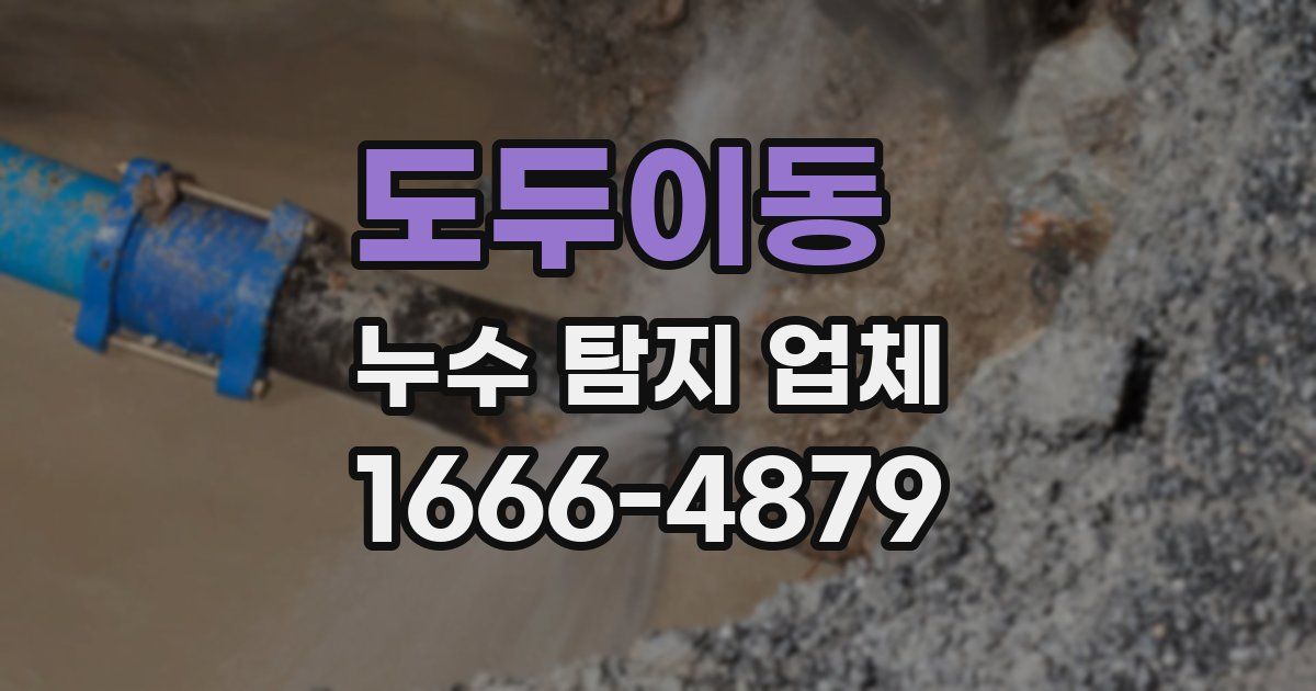 도두이동 누수 탐지 업체