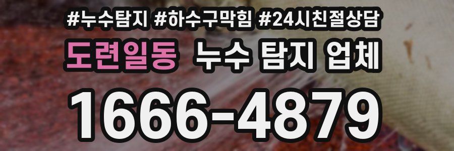 도련일동 누수 탐지 업체