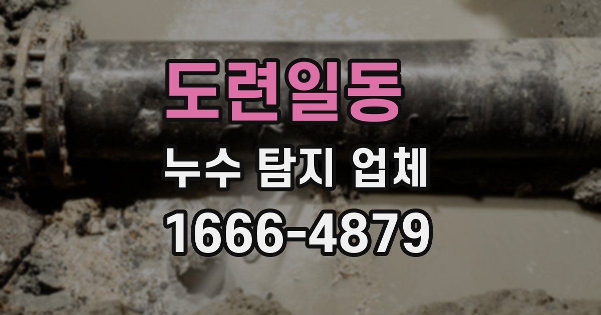 도련일동 누수 탐지 업체