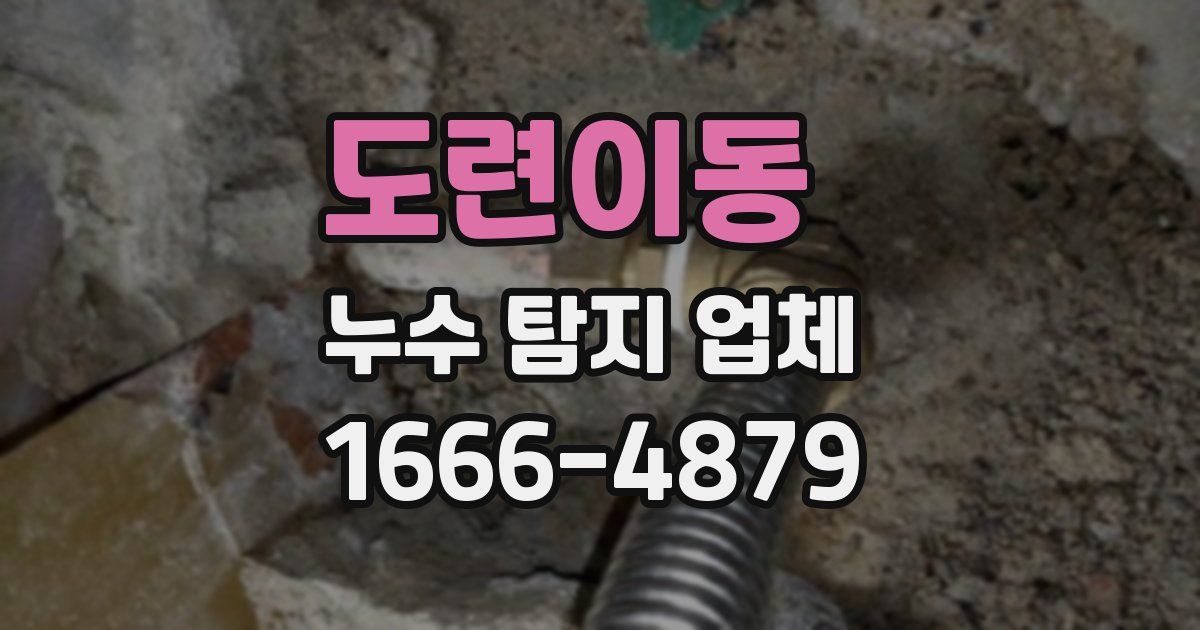 도련이동 누수 탐지 업체