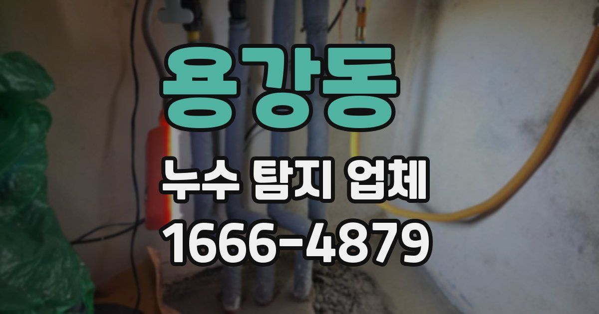 용강동 누수 탐지 업체