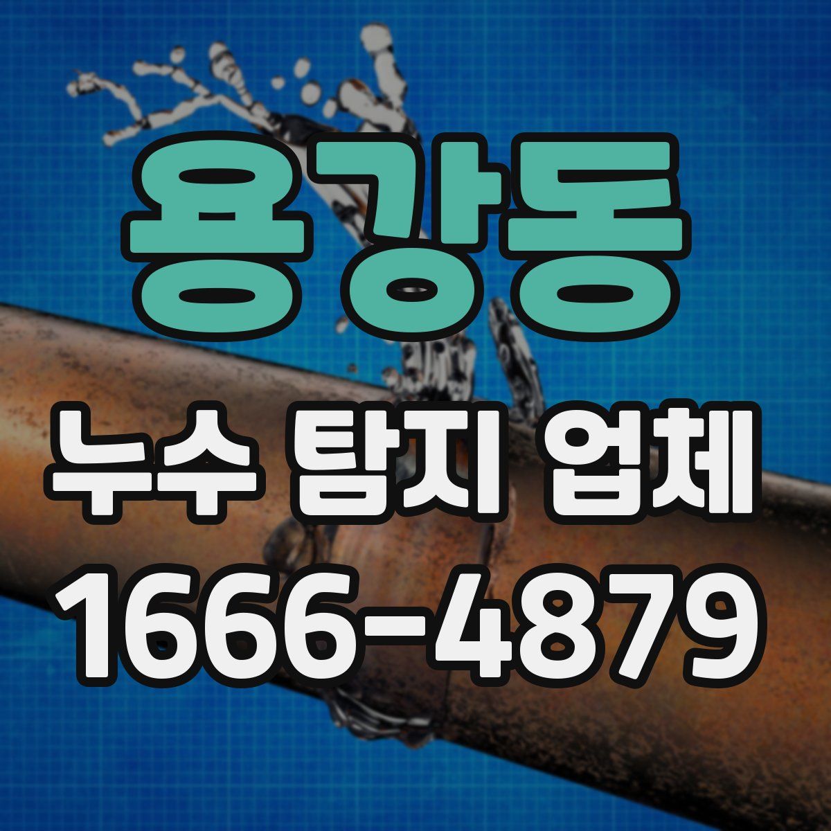 용강동 누수 탐지 업체