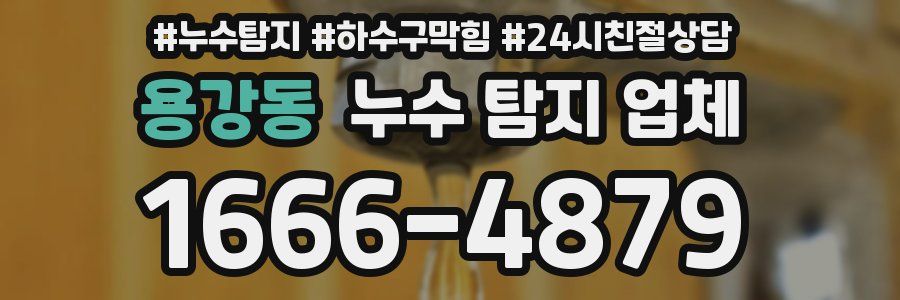 용강동 누수 탐지 업체
