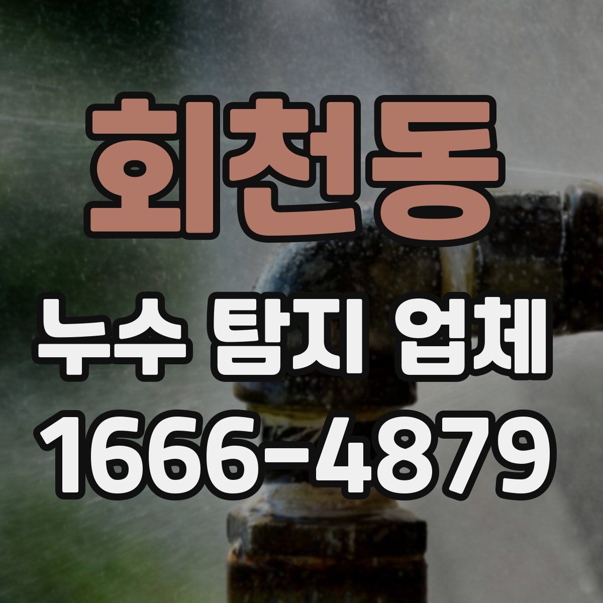 회천동 누수 탐지 업체
