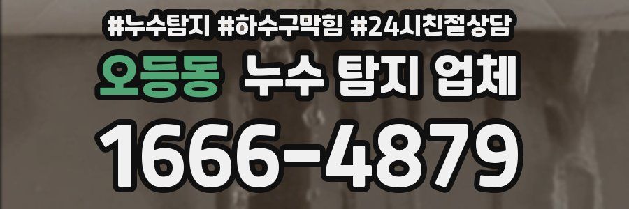 오등동 누수 탐지 업체