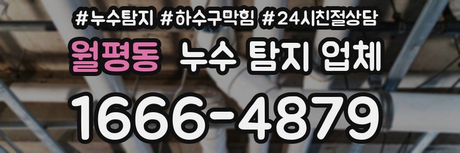 월평동 누수 탐지 업체