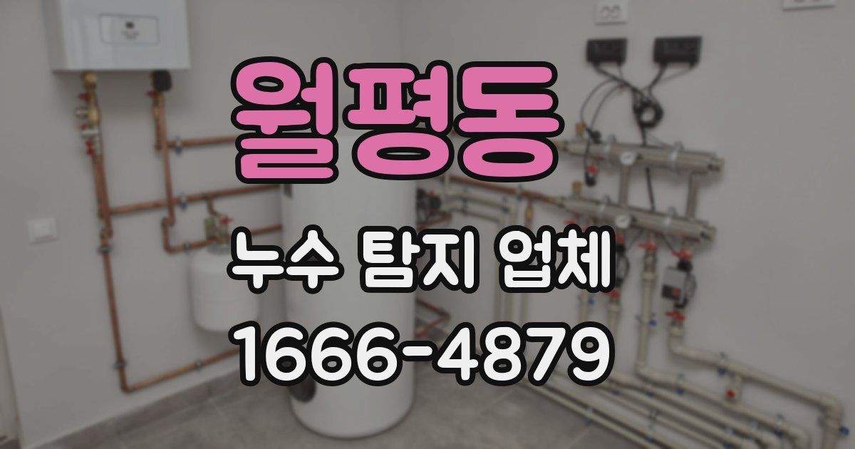 월평동 누수 탐지 업체