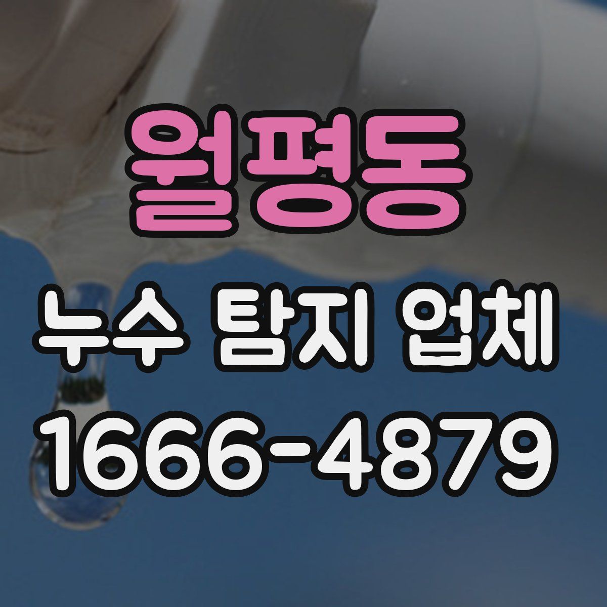 월평동 누수 탐지 업체
