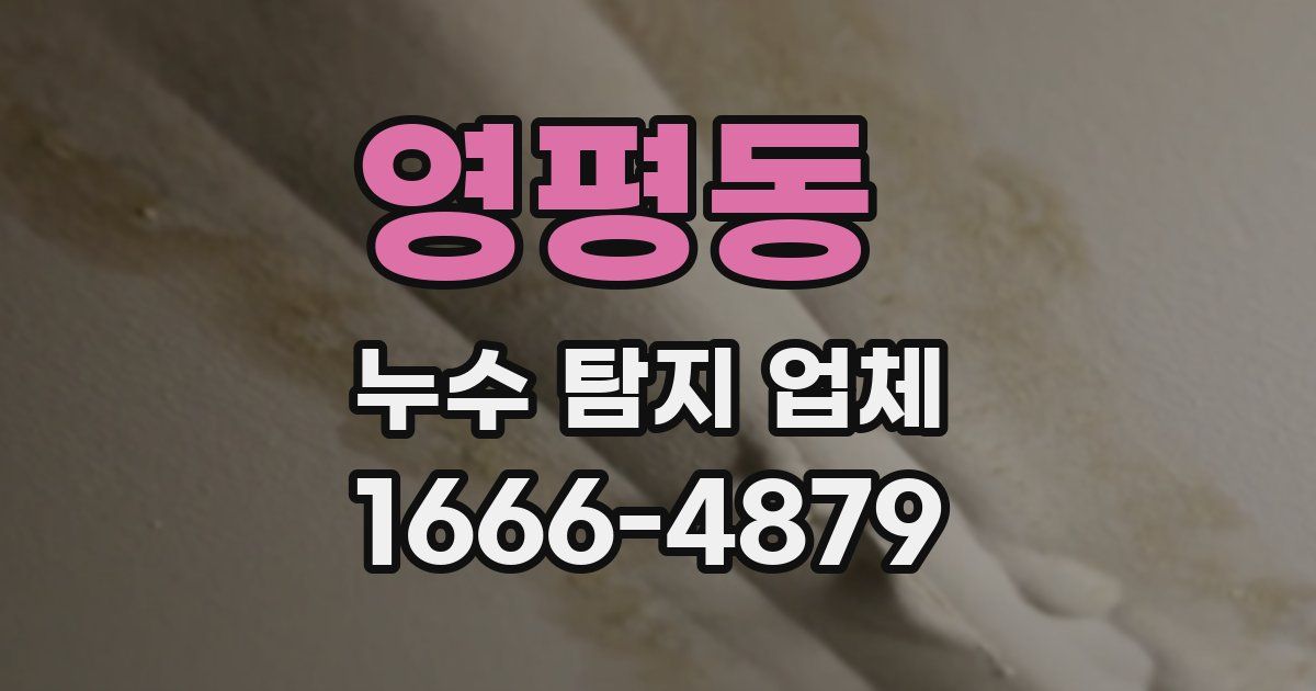 영평동 누수 탐지 업체