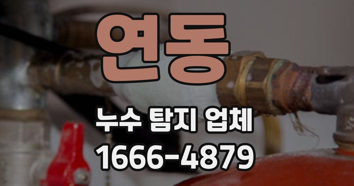 연동 누수 탐지 업체